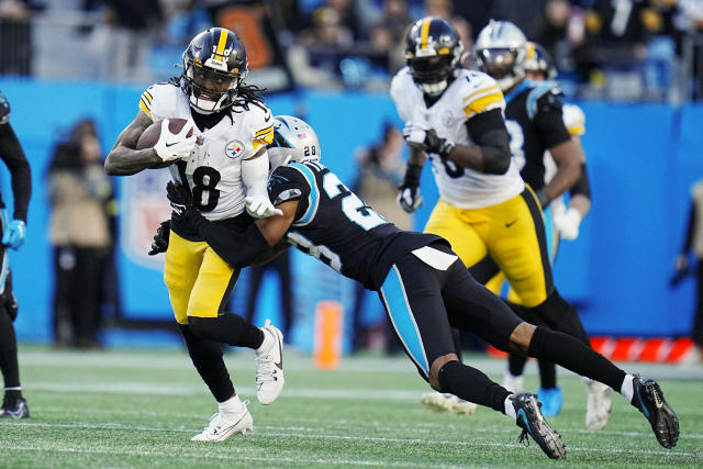 Pittsburgh Steelers vs. Carolina Panthers