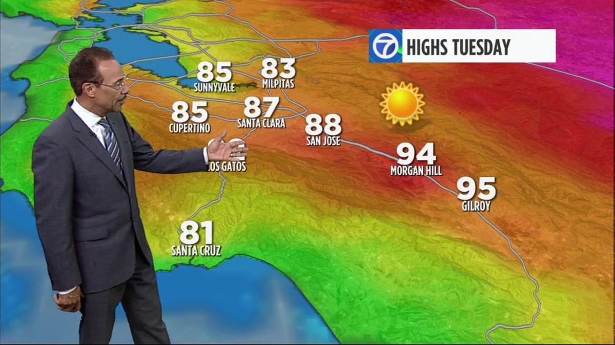 AccuWeather Forecast Typical summer week ahead