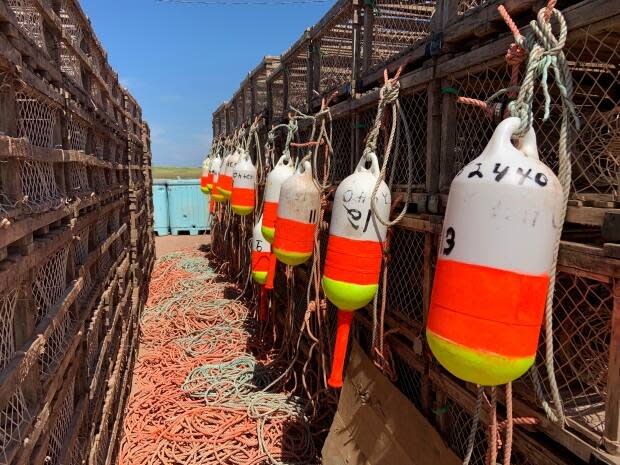 A row of lobster traps is shown on a wharf in Miminegash, P.E.I. 