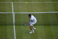 Great Britain's Andy Murray is hit by the ball in his match against Poland's Jerzy Janowicz during day eleven of the Wimbledon Championships at The All England Lawn Tennis and Croquet Club, Wimbledon.