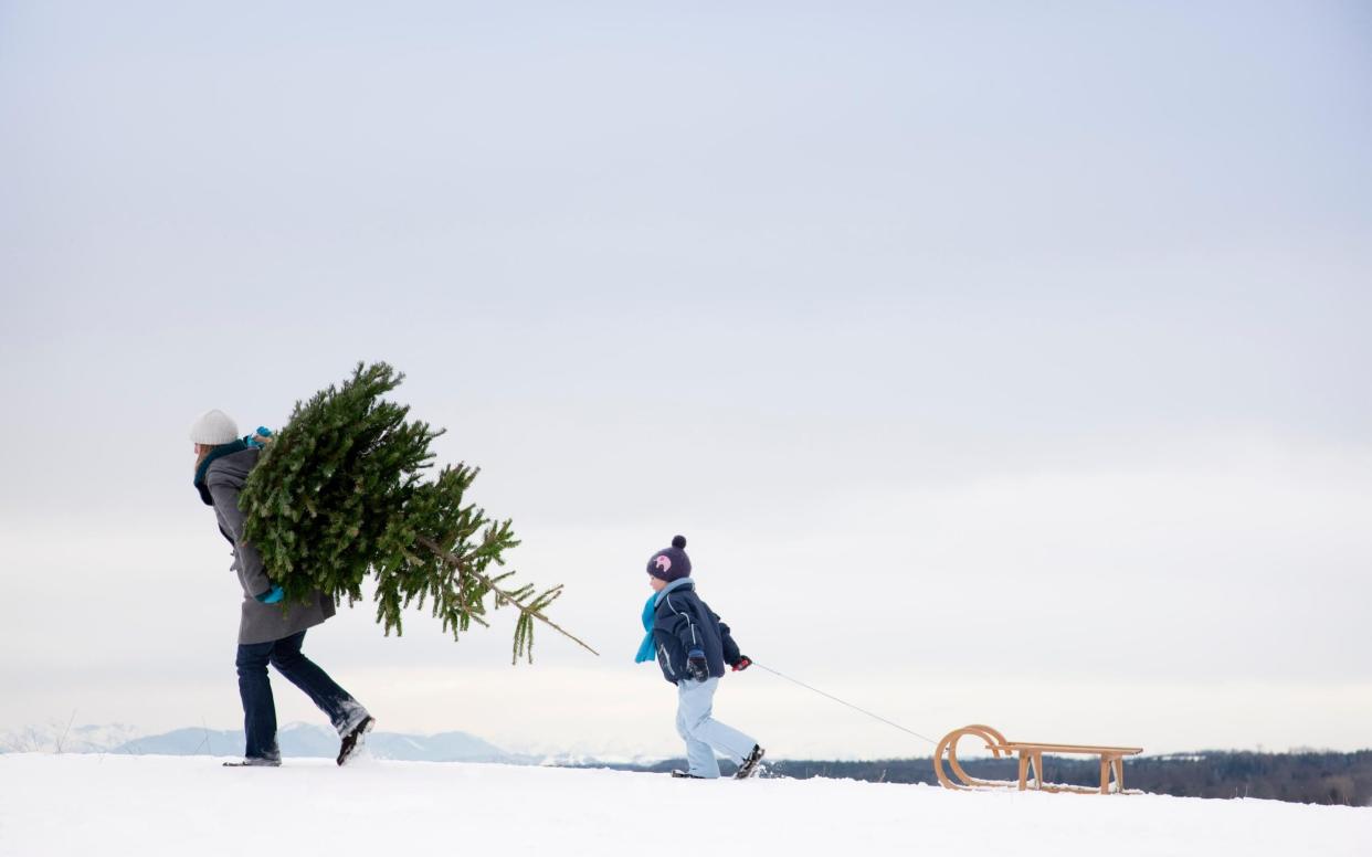 White Christmas 2020 Will it snow in the UK and what are the latest odds weather forecast - Getty