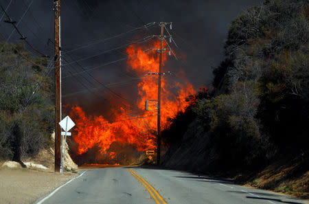 Flames from a wildfire are seen in Calabasas, California, U.S. November 9, 2018. REUTERS/Eric Thayer