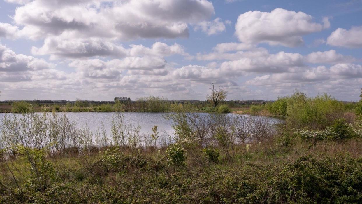 Nature reserve with water body 