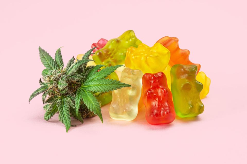 Cannabis edibles, gummies and a marijuana bud