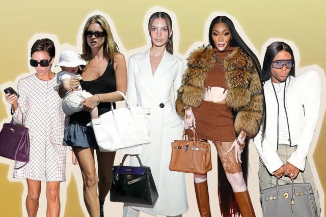 The Birkin bag is not just the ultimate fashion symbol — it's one