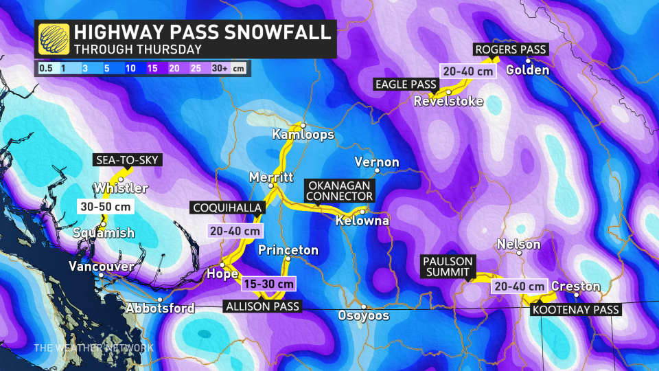 Baron - BC Highway pass snow - Feb28.jpg