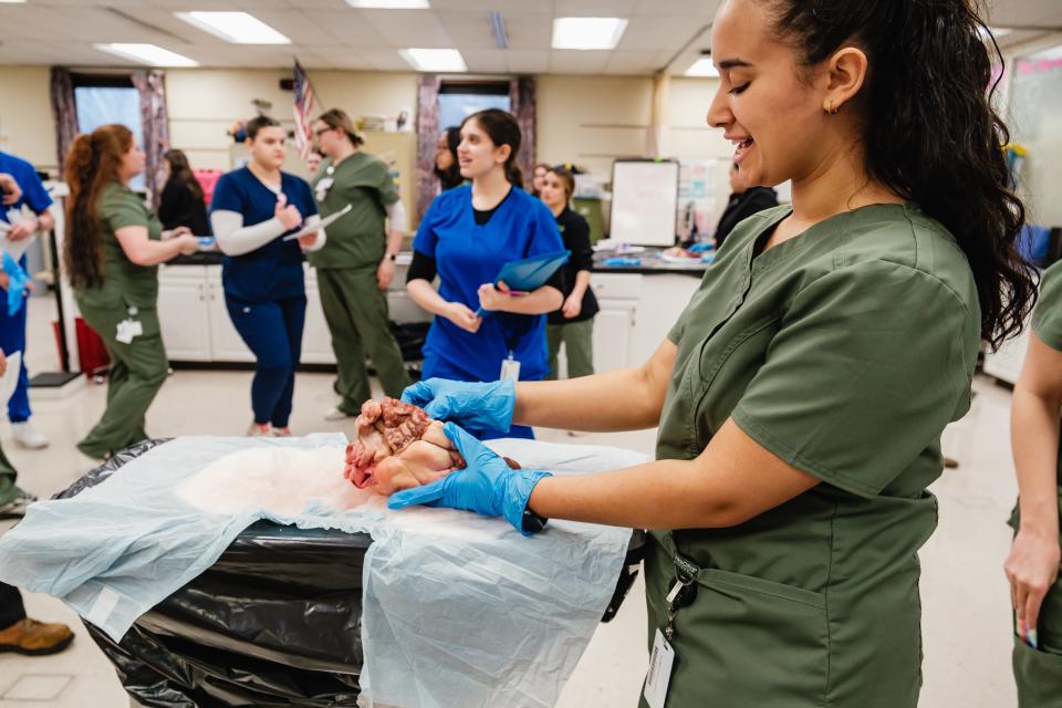 Desiree Schmuck, of Hiland High School, learns about the inner workings of a cow's heart, at Buckeye Career Center in New Philadelphia.