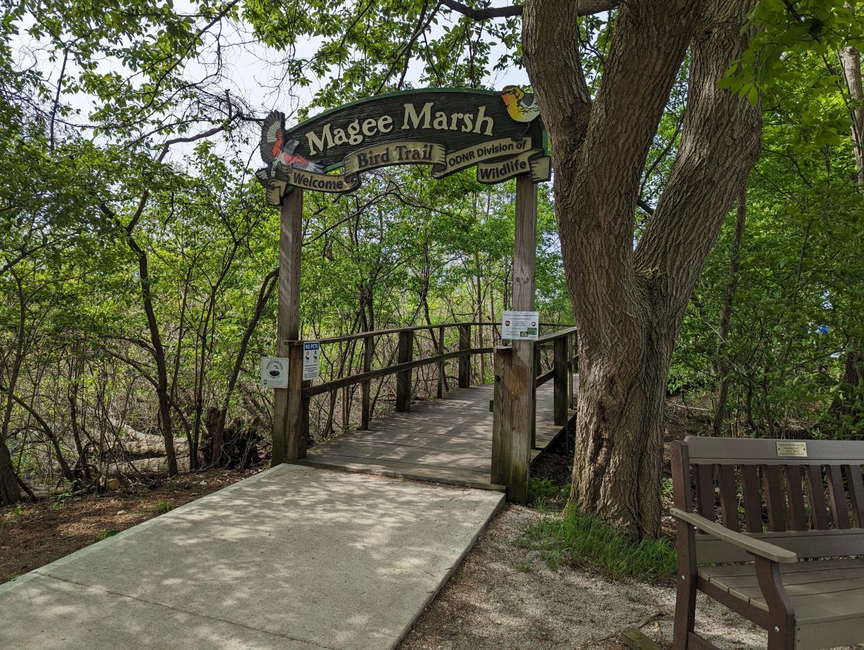 The boardwalk trailhead at the Magee Marsh Wildlife Area is well marked and ready for birders coming to the 2024 Biggest Week in American Birding. More than 90,000 are expected to come to Ottawa county for the event, and the boardwalk is an accessible point for many.
