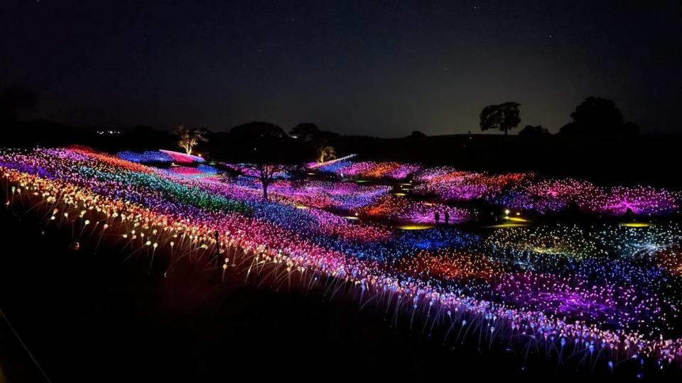 The Sensorio Field of Light is located off Highway 46 East in Paso Robles.
