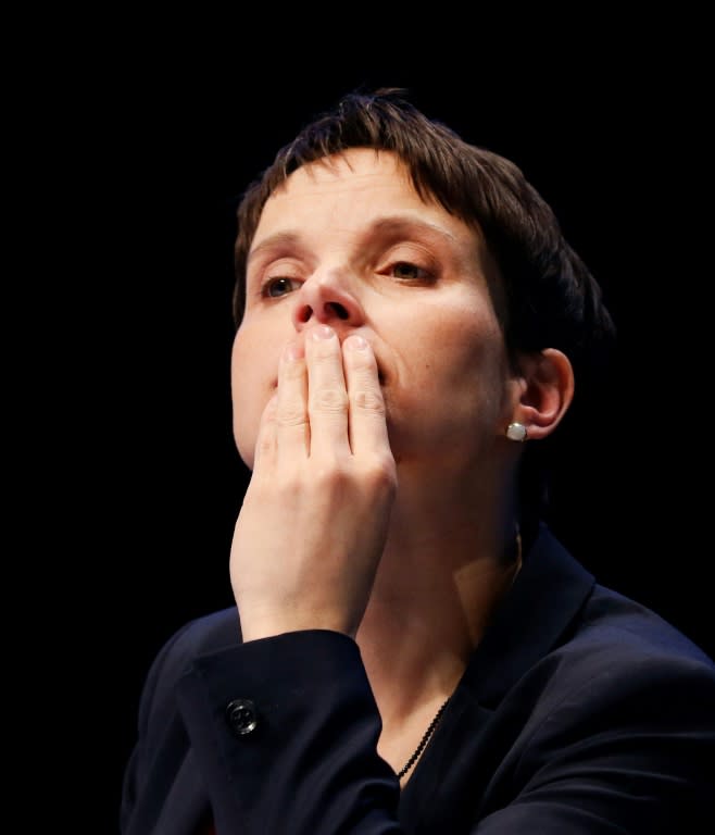 Frauke Petry wants the party to adopt a policy of "realpolitik" to get into power