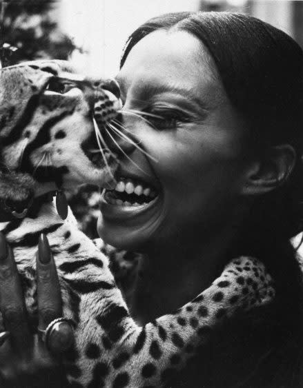 Salvador Dali’s pet ocelot Babou nibbles on the nose of Donyale Luna, New York, Dec. 23, 1966 - Credit: AP Photo/Dan Grossi