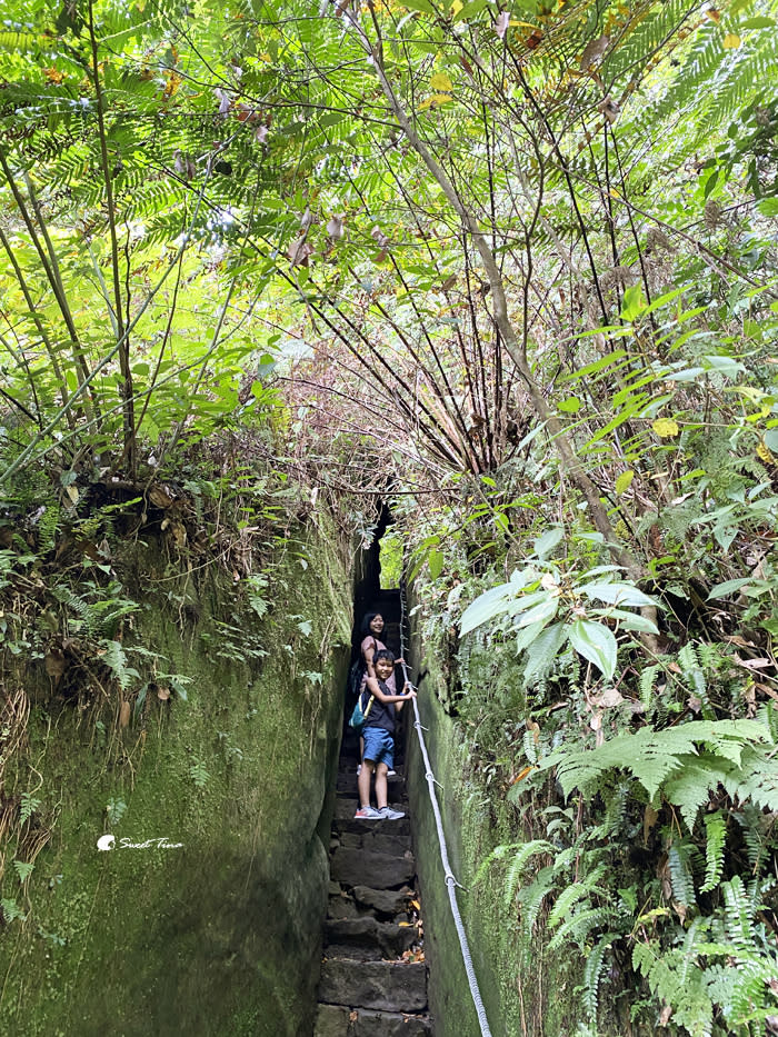 五指山橫向步道