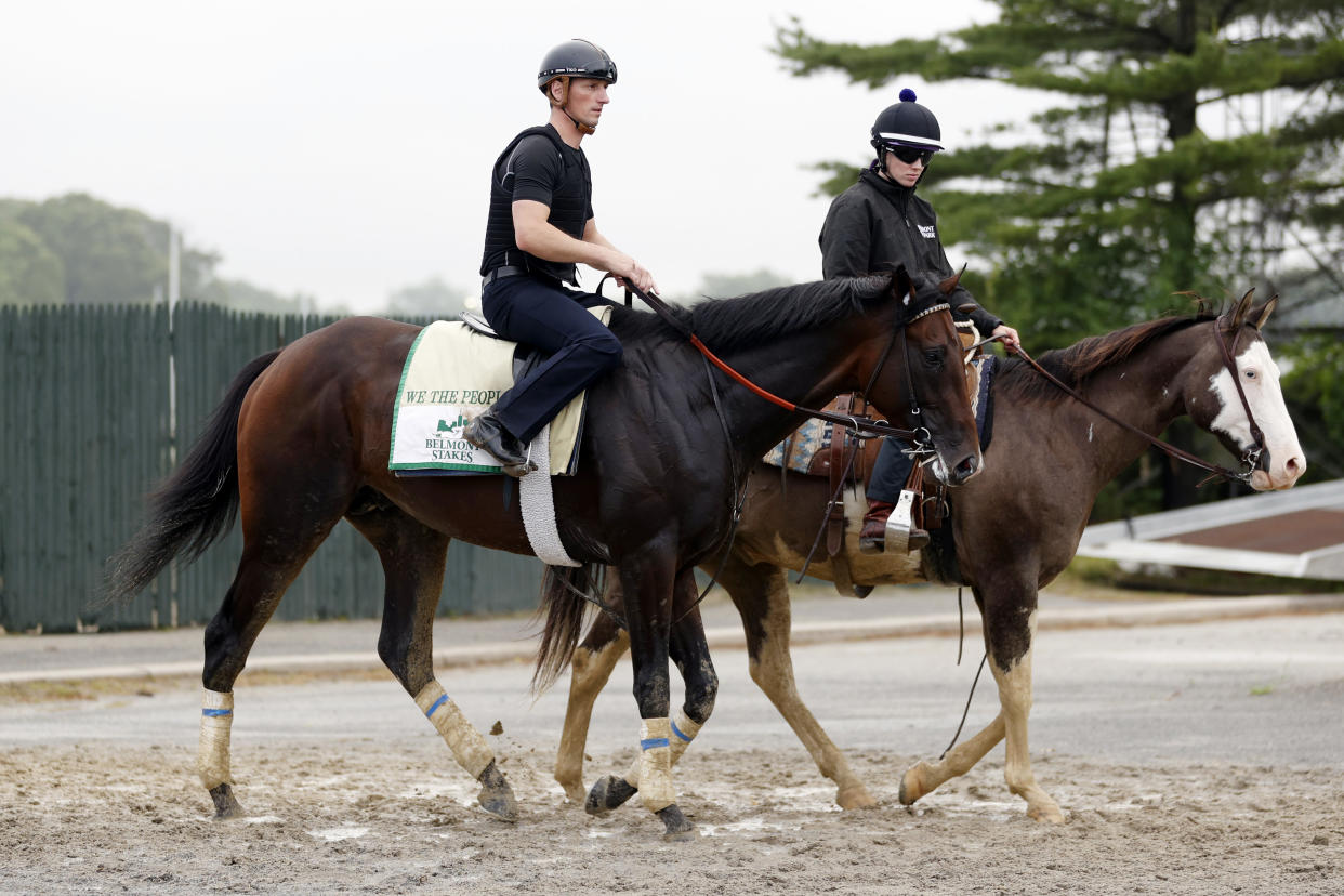 ELMONT, NEW YORK - JUNE 09: We the People and his exercise rider walk to the barn after a morning workout prior to the 154th running of the Belmont Stakes at Belmont Park on June 09, 2022 in Elmont, New York. (Photo by Sarah Stier/Getty Images)