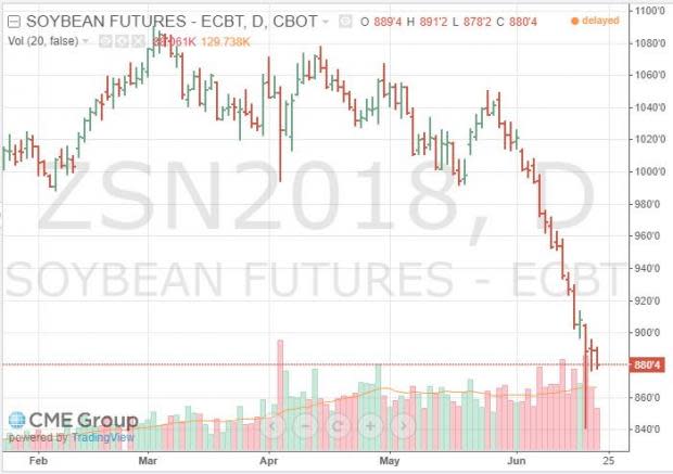 Soybeans are Getting Crushed but this Grain Processor is Looking Strong