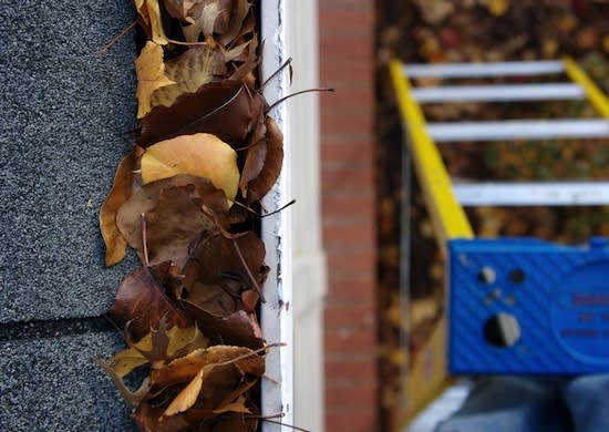 <body> <p>Believe it or not, a number of options exist for reducing or even eliminating gutter clogs. Many people experiment with screens, helmets, and other products that claim to guard gutters against blockage, not least because of their low cost. Though these approaches are not always effective, after-the-fact add-ons are worth considering if you're not willing to remove your current gutters. But for permanent, works-every-time protection, homeowners often go with a system designed from top to bottom to eliminate gutter hassles completely and for good. Backed by the Good Housekeeping Seal of Approval, <a rel="nofollow noopener" href=" http://www.leafguard.com" target="_blank" data-ylk="slk:LeafGuard;elm:context_link;itc:0;sec:content-canvas" class="link ">LeafGuard</a> stands out from competitors on account of several smart, patented features. </p> </body>