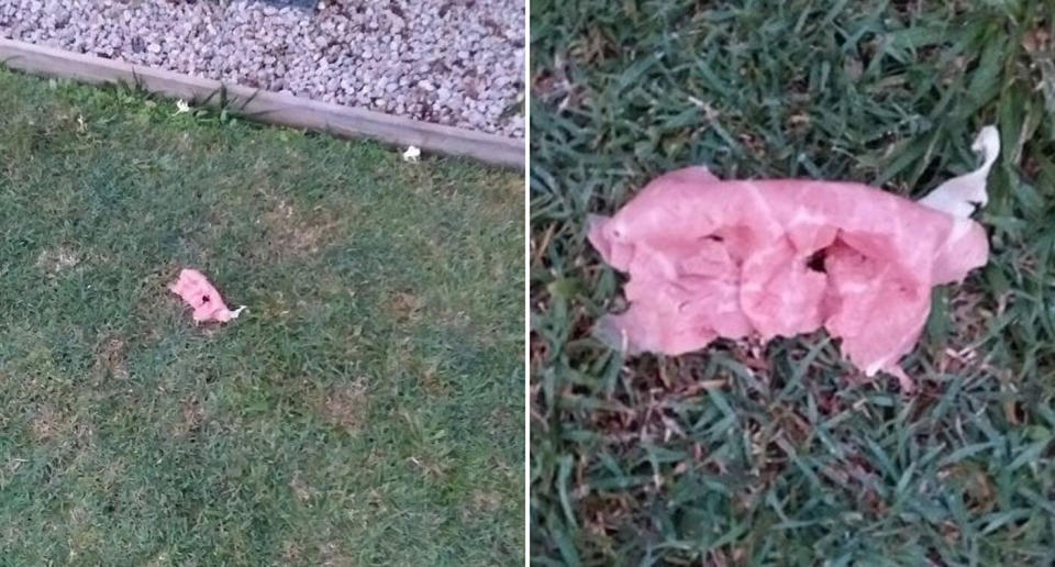 A Kippa-ring resident believes someone might be trying to poison her dog. She came home on Monday to find a slice of ham in her backyard. 