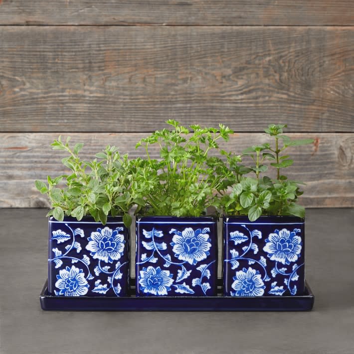 <p><a href="https://go.redirectingat.com?id=74968X1596630&url=https%3A%2F%2Fwww.williams-sonoma.com%2Fproducts%2Fblue-and-white-ceramic-herb-tray-with-pots-set-of-3&sref=https%3A%2F%2Fwww.housebeautiful.com%2Flifestyle%2Fgardening%2Fg1877%2Findoor-herb-gardens%2F" rel="nofollow noopener" target="_blank" data-ylk="slk:Shop Now;elm:context_link;itc:0;sec:content-canvas" class="link ">Shop Now</a></p><p>Ceramic Herb Tray With Pots</p><p>williams-sonoma.com</p><p>$49.95</p>