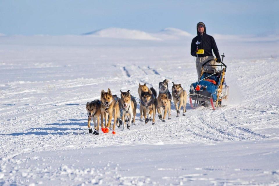 Matthew Failor and his team finished 18th in the 2019 Iditarod sled dog race.