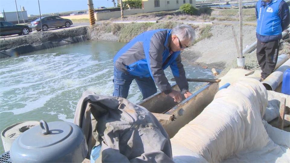 富北極震盪冷到過年！　農家抗「凍」作戰大出招