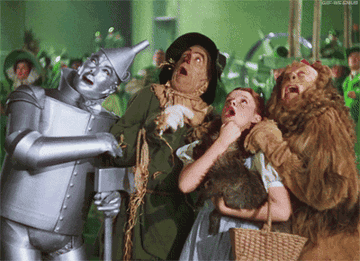 The main characters of "The Wizard of Oz" in shock