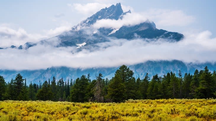 <span class="article__caption">Yellowstone could be your summer home (Photo: Lucas Parker / Unsplash)</span>