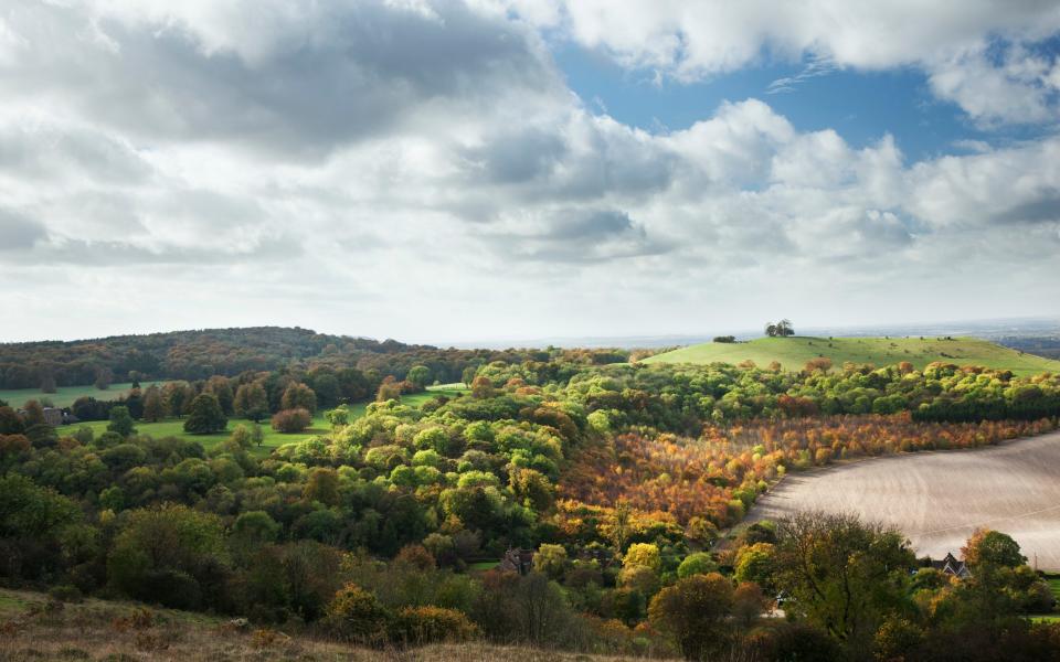 Chilterns best walks uk england start end hike pub food drink autumn winter 2022 Pulpit Hill - Getty