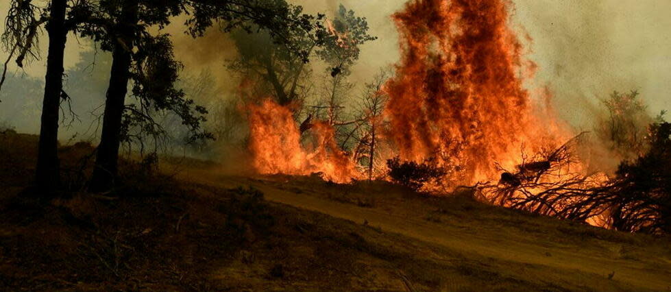 Les autorités américaines veillent à agir au plus vite sur chaque départ de feu pour éviter de faire face à des mégafeux, comme en Californie  (illustration).  - Credit:NEAL WATERS / ANADOLU AGENCY / Anadolu Agency via AFP