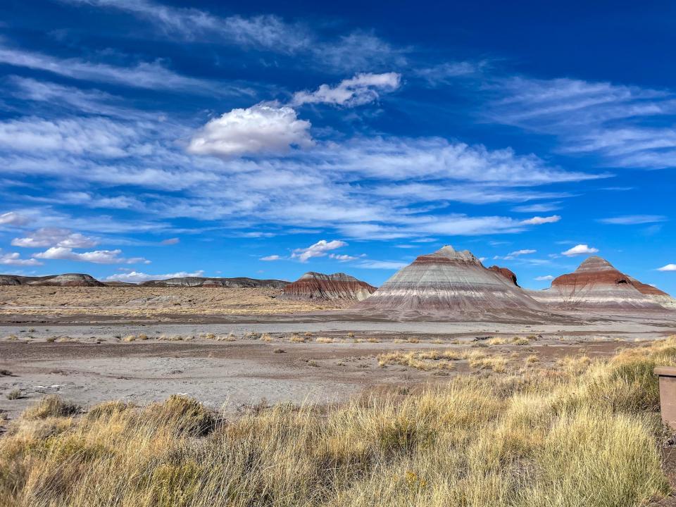 Desert landscapes in the Petrified Forest National Park.