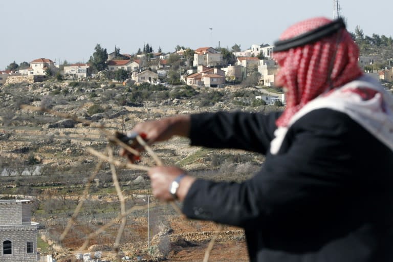 A Palestinian man prunes vines in the West Bank village of Beit Omar, with the Israeli settlement of Karmei Tzour seen in the background, on February 26, 2017