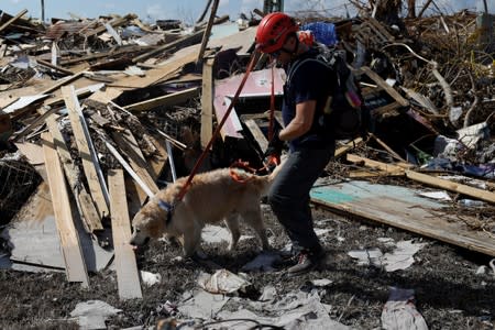 A member of the Canadian Burnaby Firefighters Search & Rescue Task Force and a dog search for the dead in the destroyed the Mudd neighbourhood after Hurricane Dorian hit the Abaco Islands in Marsh Harbour