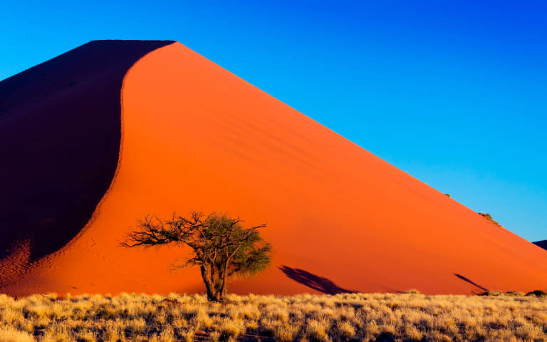 位於西非的納米比亞沙漠閃耀著粉紅色光芒，是攝影家鏡頭下的天堂。（圖／佳繽旅遊提供）