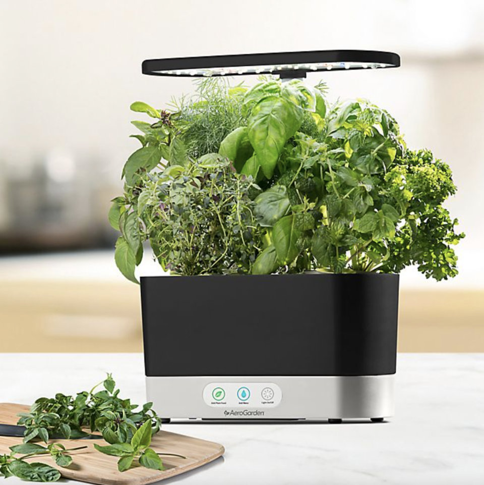 AeroGarden Harvest with Gourmet Herb Seed Pod Kit with green herbs and black and silver grower (Photo via Bed Bath & Beyond)