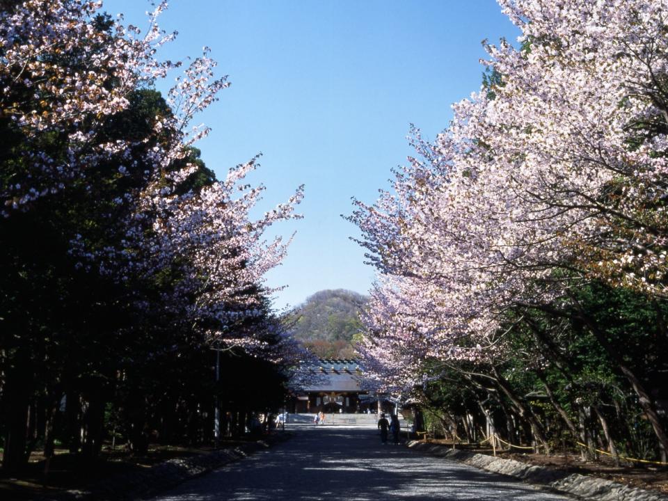 日本櫻花2024｜北海道賞櫻5大好去處！五稜郭公園粉紅五角星形城廓/心形絕景天狗櫻/7km櫻花大道+櫻花祭典