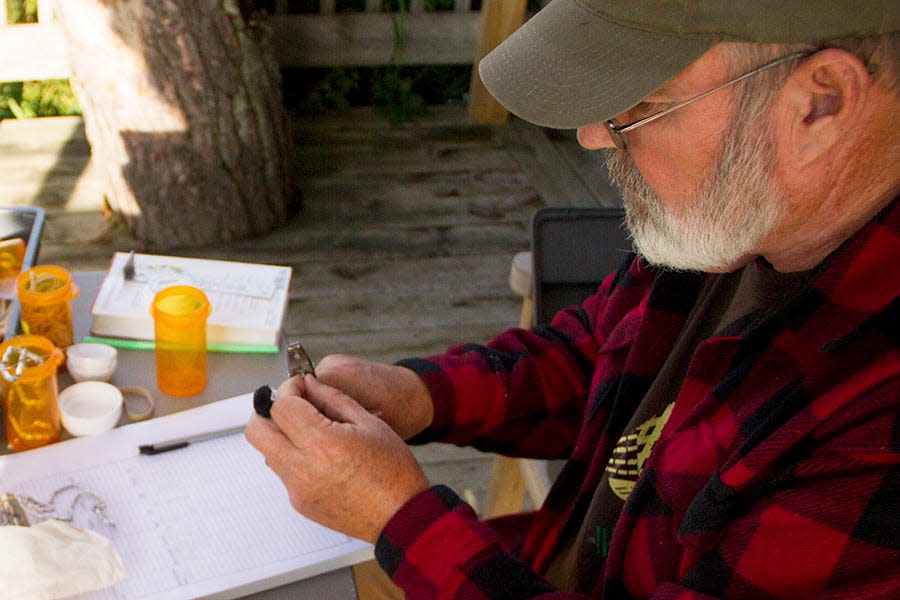 Woodland Dunes Executive Director Jim Knickelbine is shown bird banding.