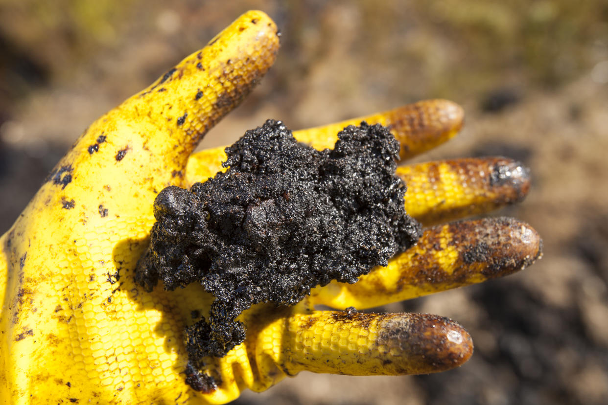 A handfull of raw tar sand north of Fort McMurray, Alberta, Canada. the centre of the tar sands industry. The tar sands is the world's largest industrial project and the most environmentally destructive.