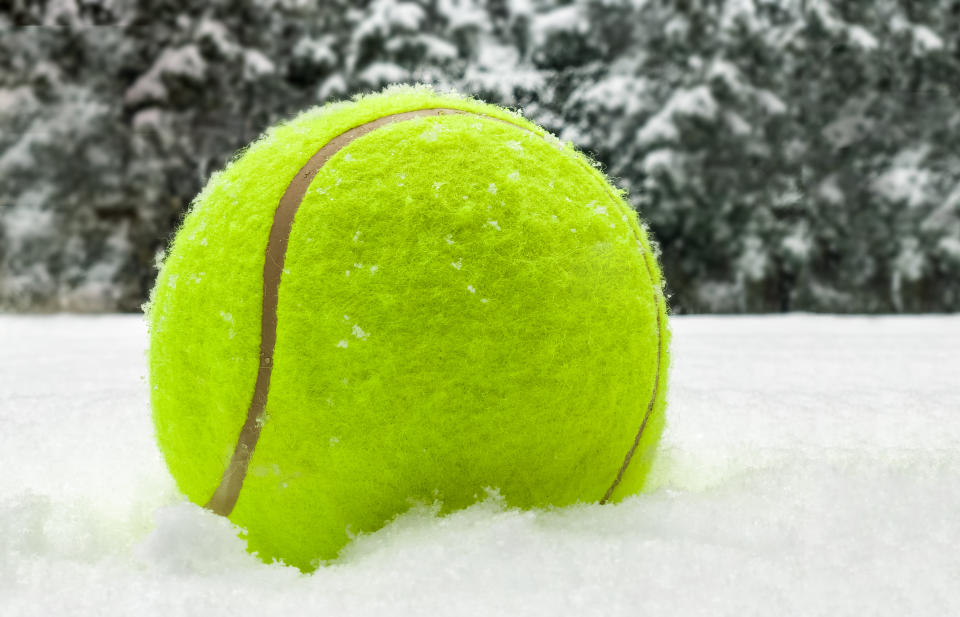 Ein Tennisball kann im Winter Wildtieren das Leben retten. (Bild: Getty Images)