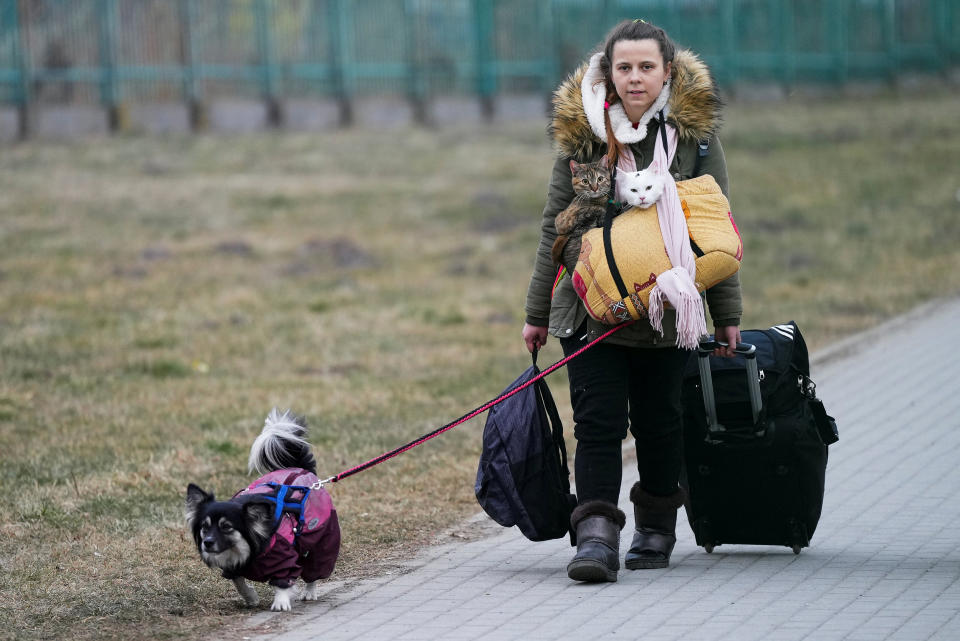 Image: People fleeing Russia's invasion of Ukraine, in Medyka (Aleksandra Szmigiel / Reuters)