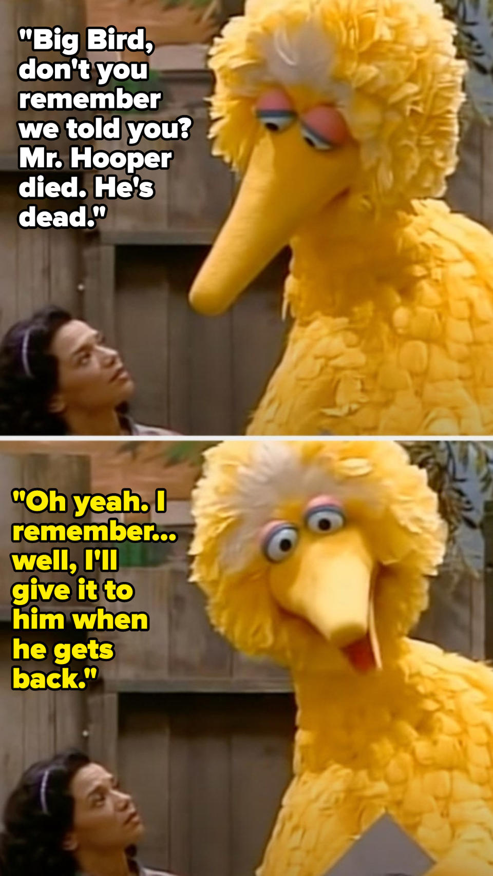 Big Bird doesn't understand that Mister Hooper, who died, isn't coming back