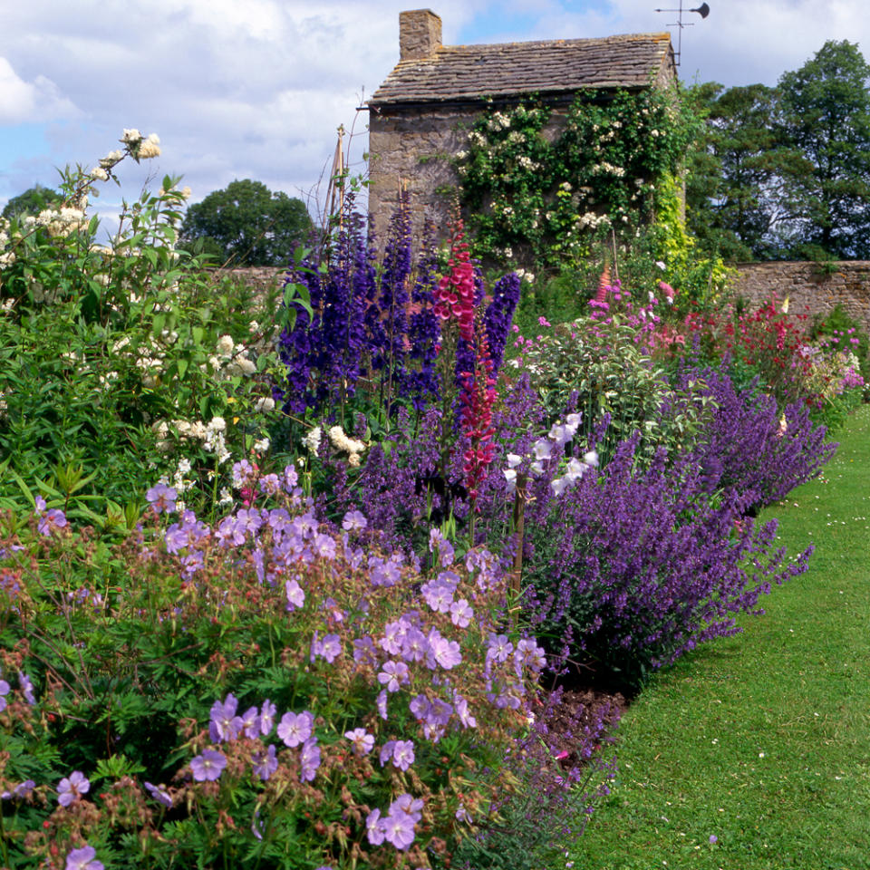 Add instant colour with bedding plants