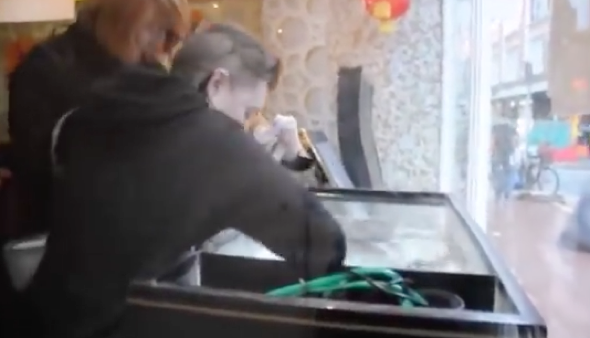 Animal rights group 'liberate' lobsters from Dublin restaurant tank (video)