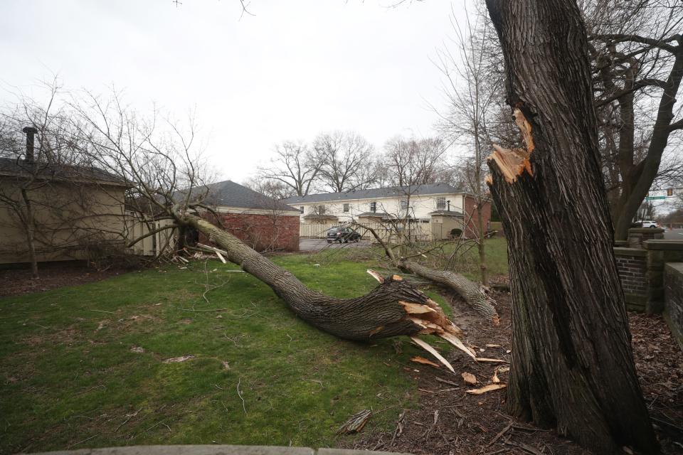 A large tree limb rests on a fence of a home in the Georgetown Condominiums complex near West Market Street in Akron after strong winds hit the area.