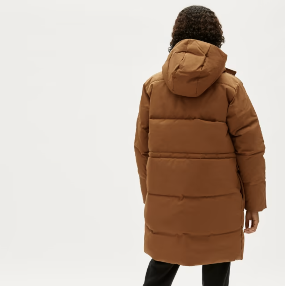 ReNew Long Puffer in chestnut (Photo via Everlane)