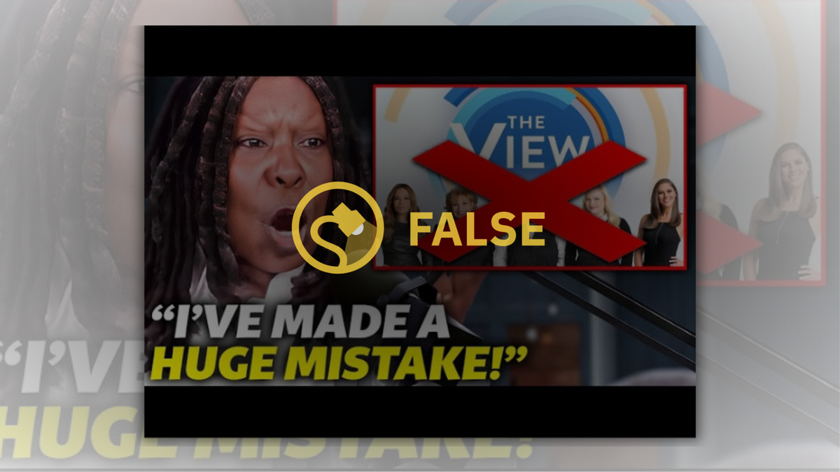 An image that says Whoopi Goldberg made a huge mistake, as well as a red X over "The View" cohosts, is labeled False. Just In/YouTube