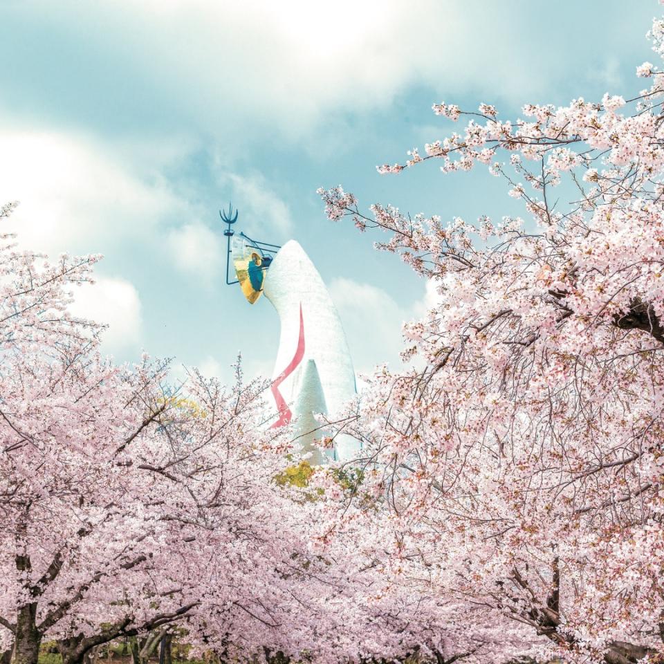 日本櫻花2024｜大阪萬博公園櫻花祭3.20開催！逾5,000棵櫻花樹夢幻綻放 200米夜櫻大道＋煙花大會＋美食攤位