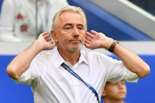 Bert van Marwijk will leave the Australia setup after the World Cup