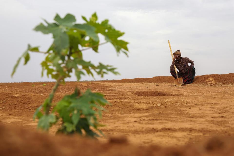 A pastoralist in Ubaley, near Gode, in the Somali region of Ethiopia, works on a half-moon land rehabilitation and regreening project (WFP/Michael Tewelde)