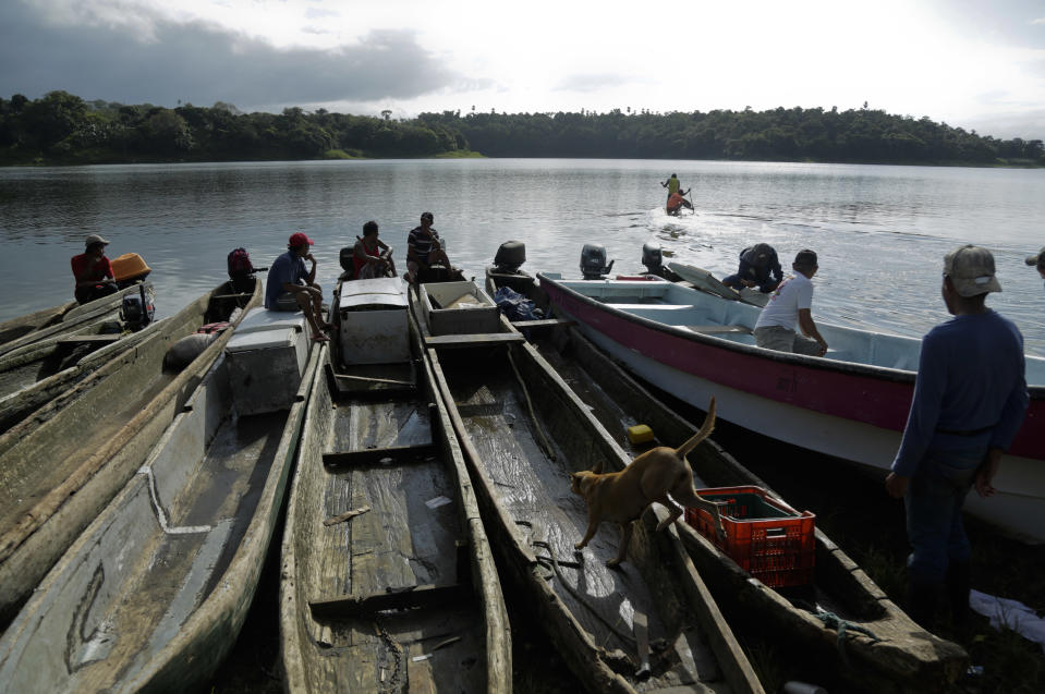 In this photo Nov. 25, 2018 photo, fishing canoes are tied together at a dock on Lake Bayano as the men watch the dugout canoe race of the second edition of the Panamanian indigenous games on lake Bayano, Panama. Indigenous people fish and motor in the lake on any given day, transporting goods from one side to the other. (AP Photo/Arnulfo Franco)