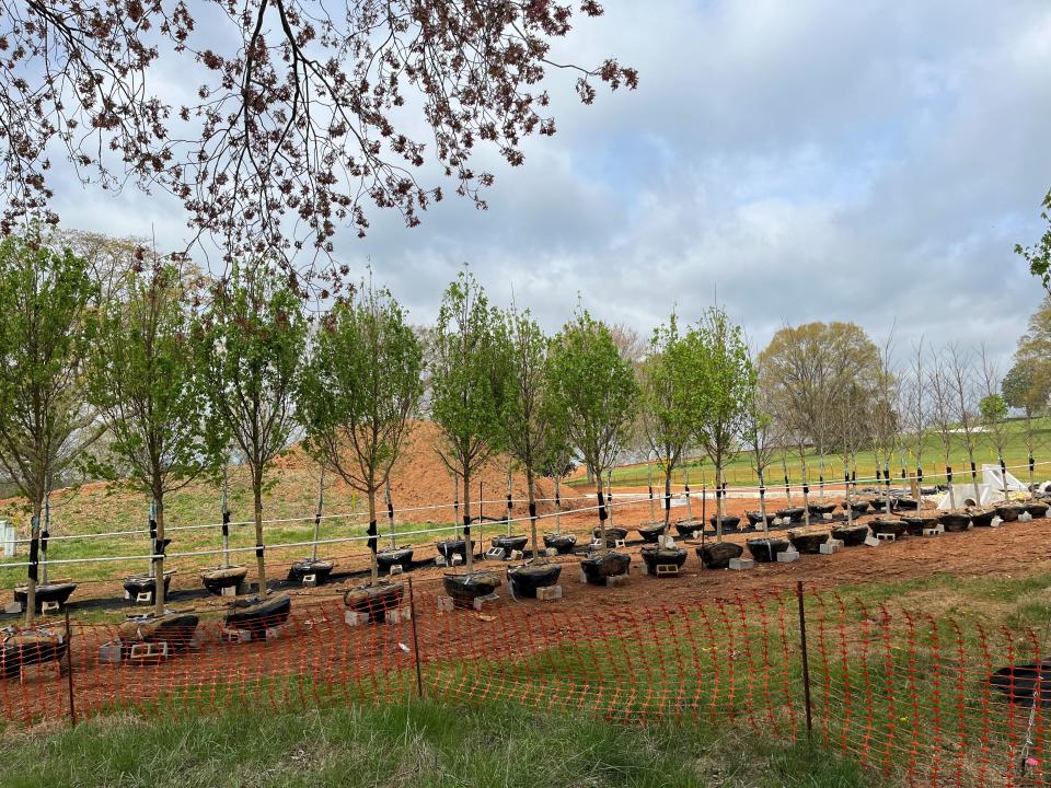 Some landscaping trees expected to be placed around the Sculptural Mound at Lakeshore Park are shown on April 4, 2023.