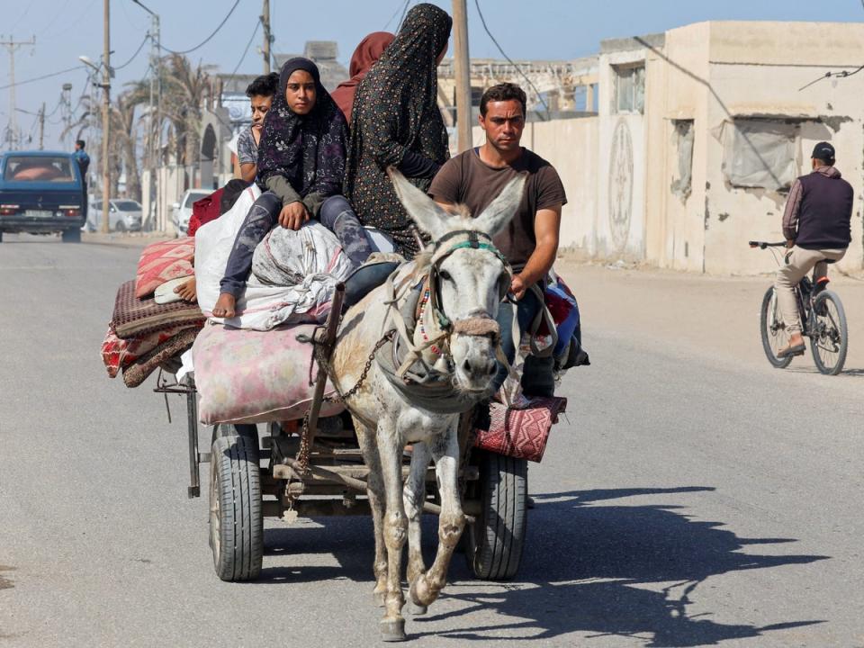 Palestinians flee Rafah in a donkey-drawn cart (Reuters)