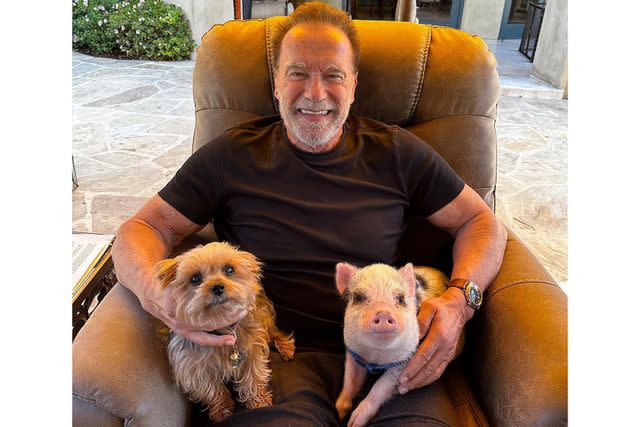 Arnold Schwarzenegger/Instagram Arnold Schwarzenegger and pets